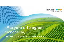 «Август» в Telegram: экспертиза, технологии и практика